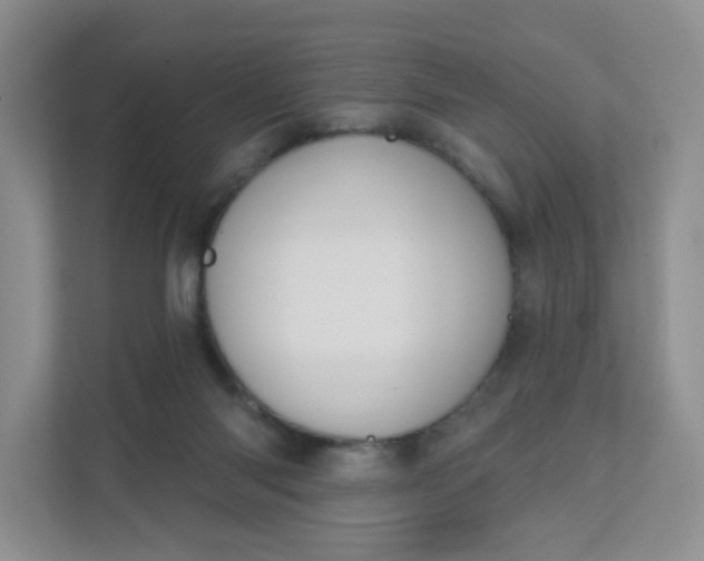 X0000111590118200907301434