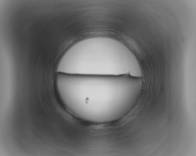 X0000111590120200907301434