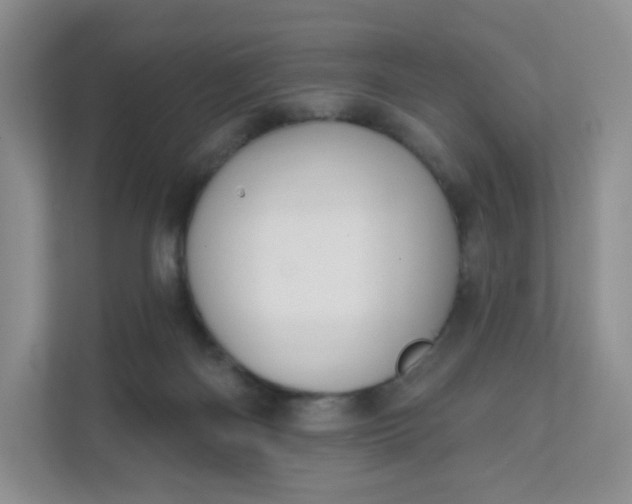 X0000111590122200907301434