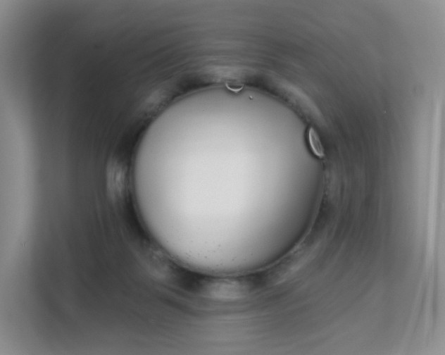 X0000111590123200907301434