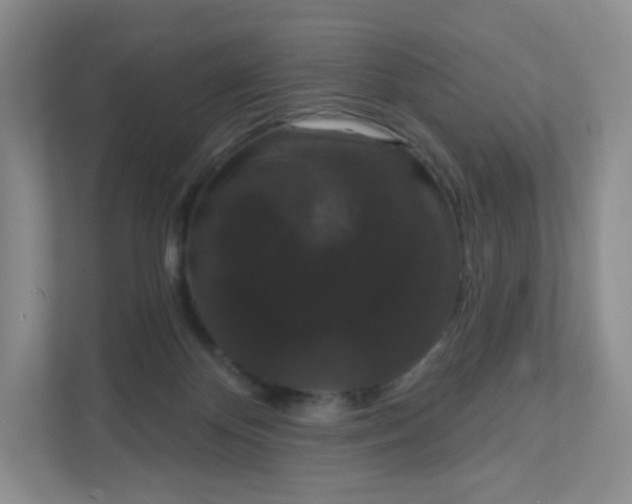 X0000111590124200907301434