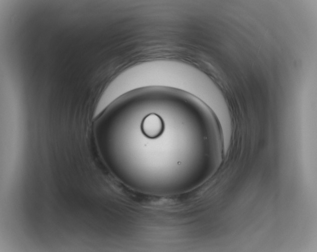 X0000111590125200907301434