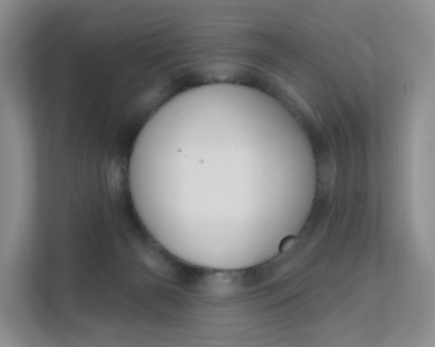 X0000111590126200907301434