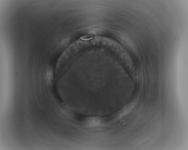 X0000111590127200907301434