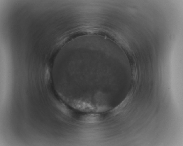 X0000111590128200907301434