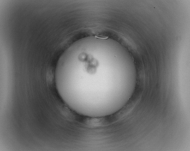 X0000111590129200907301434