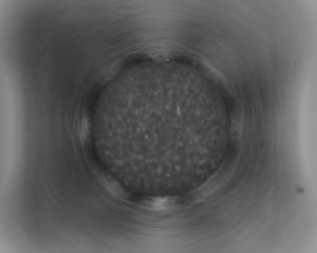 X0000111590130200907301434