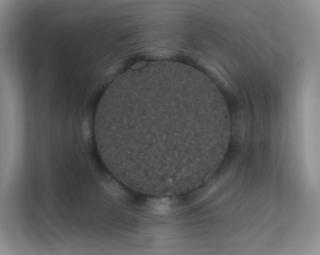 X0000111590131200907301434