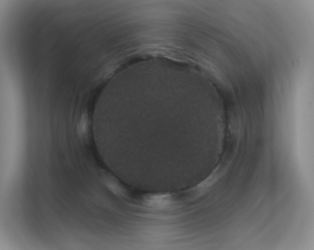 X0000111590132200907301434