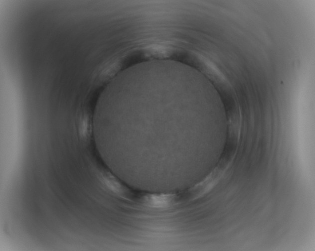 X0000111590134200907301434