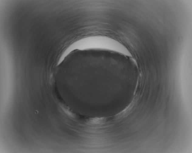 X0000111590136200907301434