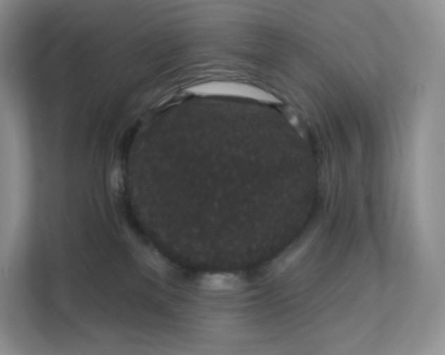 X0000111590137200907301434