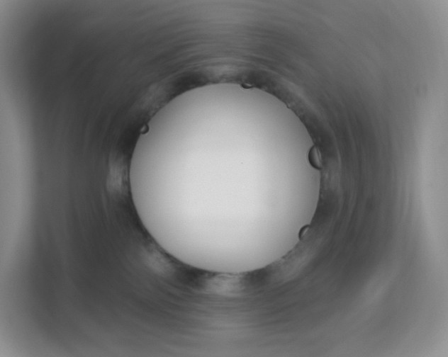 X0000111590138200907301434