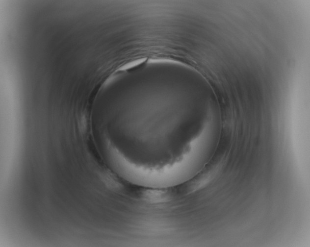 X0000111590139200907301434