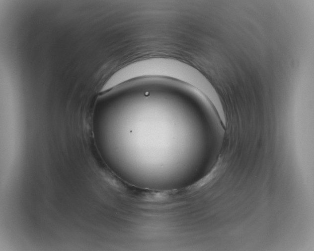 X0000111590140200907301434