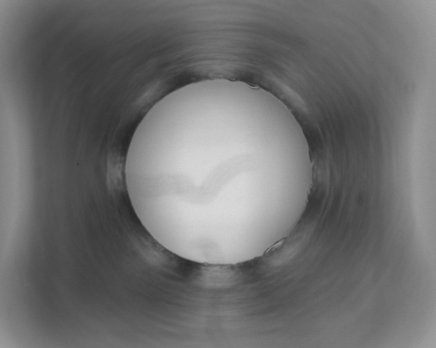 X0000111590141200907301434