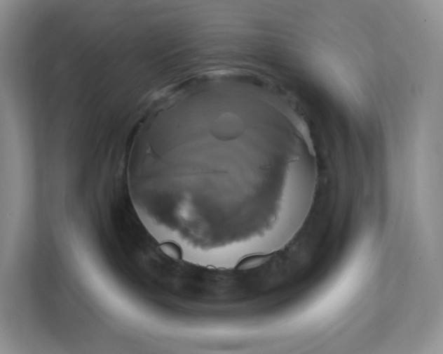 X0000111590143200907301434