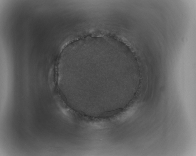 X0000111590144200907301434