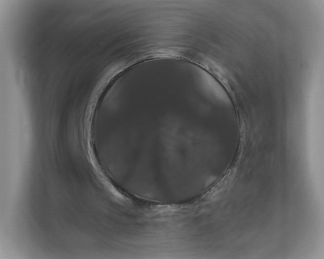 X0000111590145200907301433