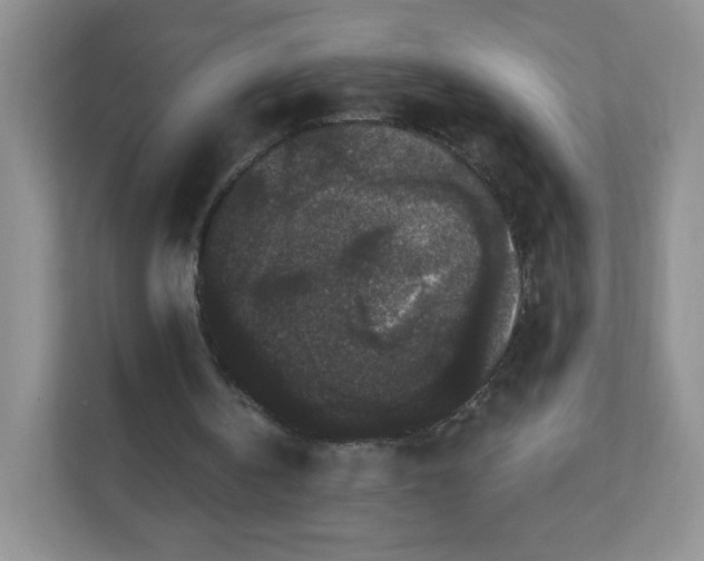 X0000111590146200907301433