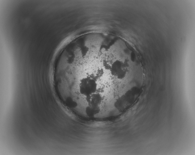 X0000111590149200907301433