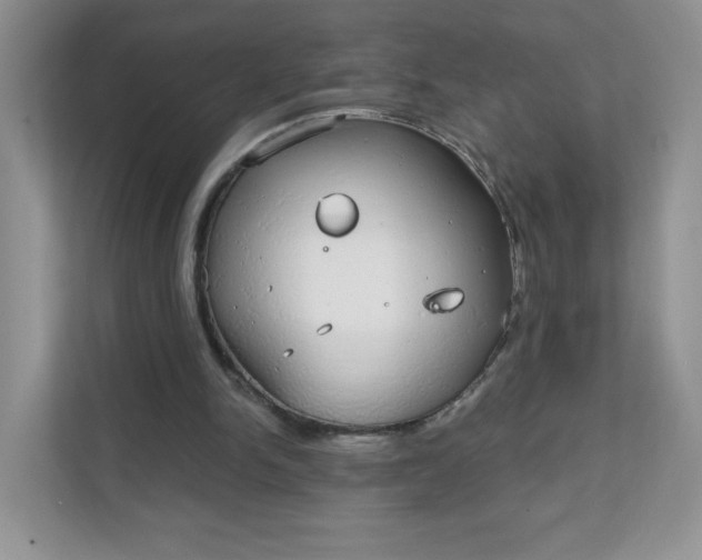 X0000111590150200907301433