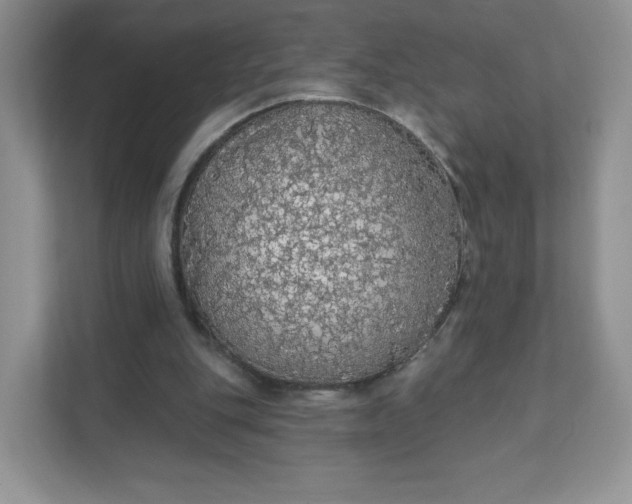 X0000111590151200907301433