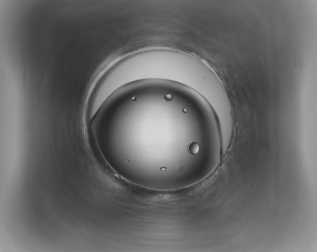 X0000111590152200907301433