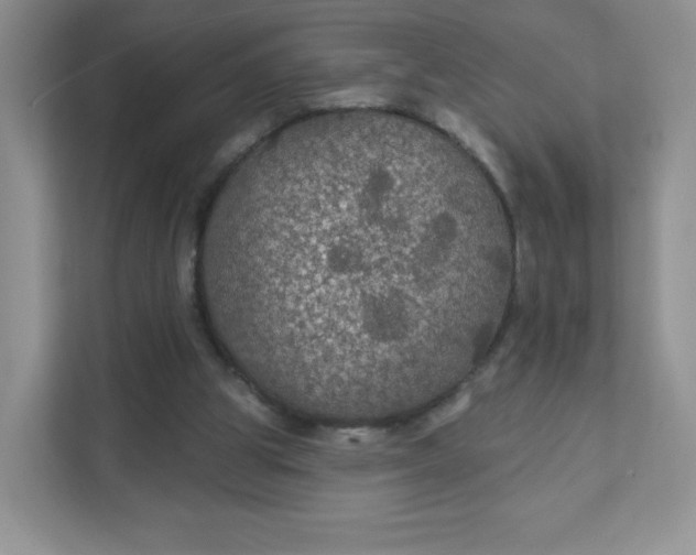 X0000111590153200907301433