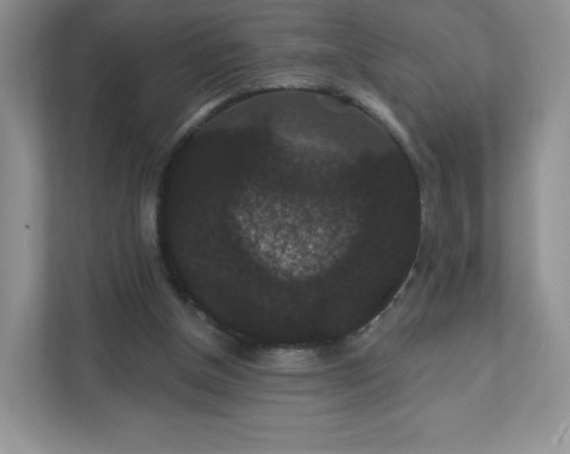 X0000111590154200907301433