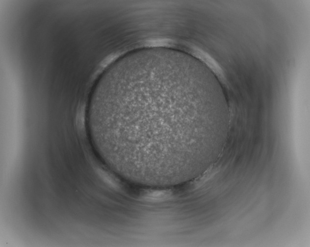 X0000111590155200907301433