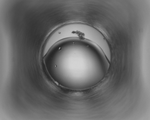 X0000111590156200907301433