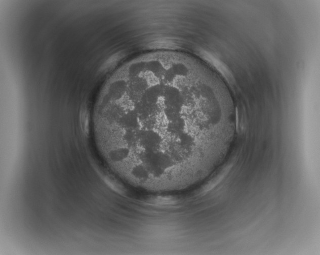 X0000111590157200907301433