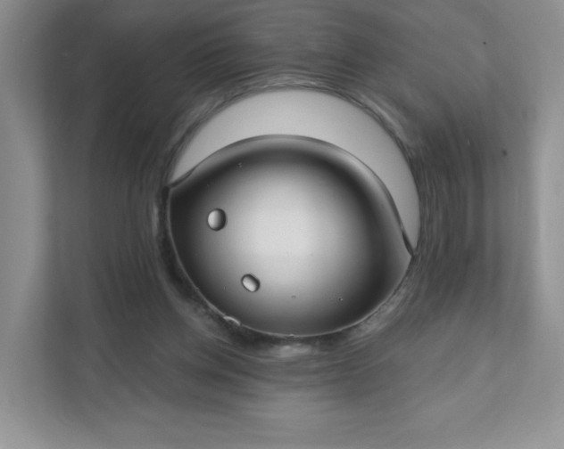 X0000111590158200907301433