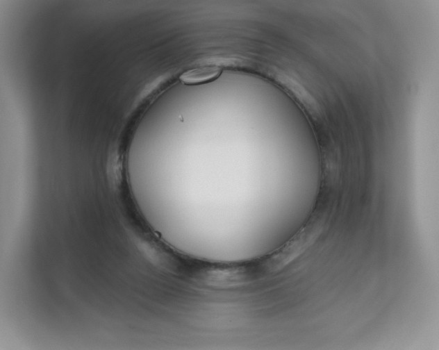 X0000111590160200907301433