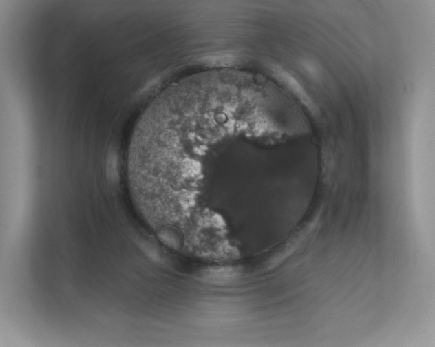 X0000111590161200907301433