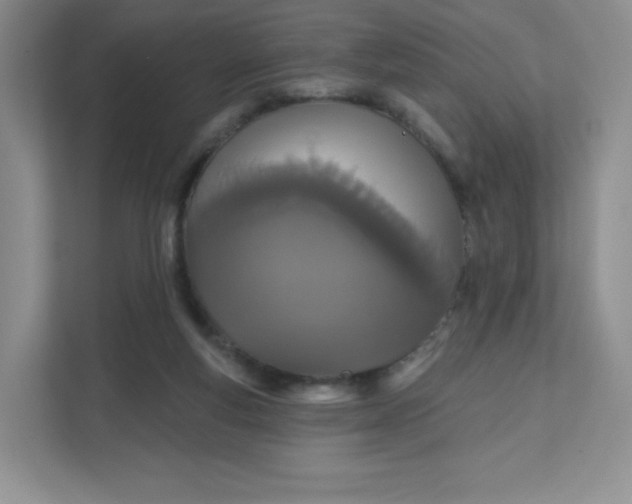 X0000111590163200907301433