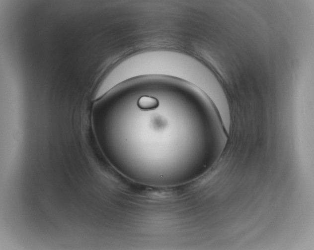 X0000111590164200907301433