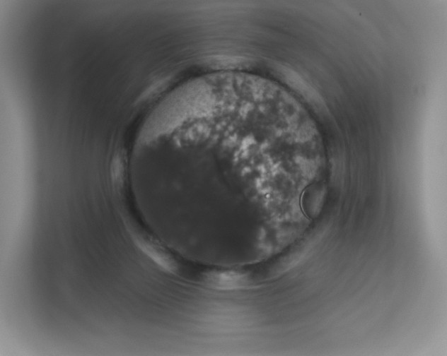 X0000111590165200907301433