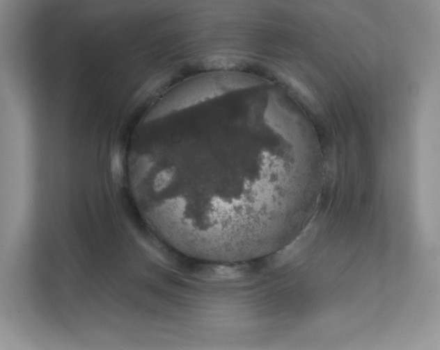 X0000111590166200907301433