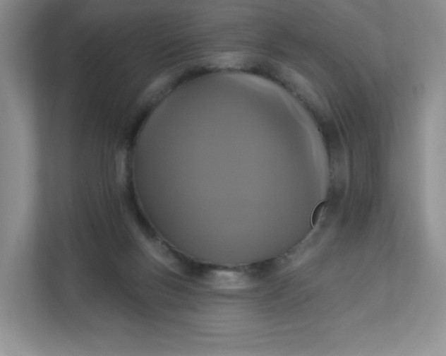 X0000111590167200907301433