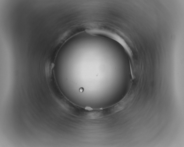 X0000111590168200907301433