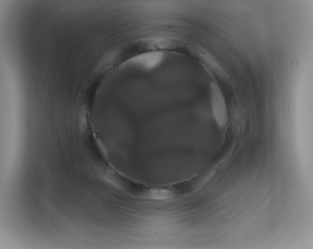 X0000111590169200907301433