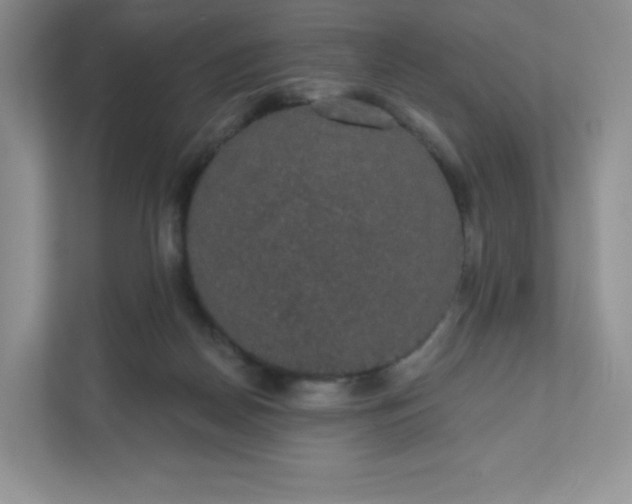 X0000111590170200907301433