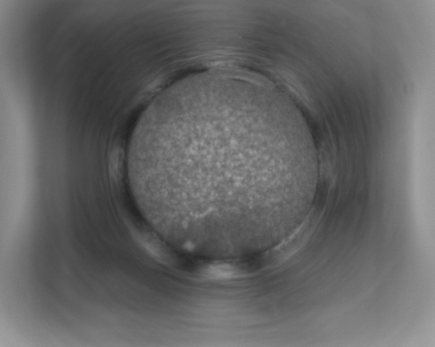 X0000111590171200907301433