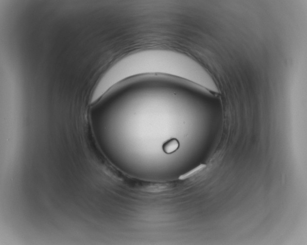 X0000111590172200907301433