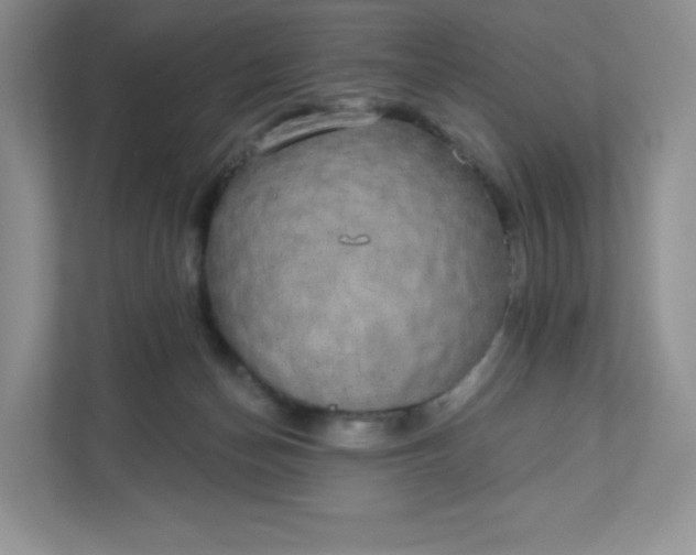 X0000111590174200907301434