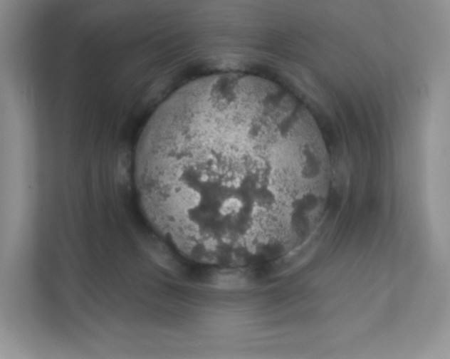 X0000111590175200907301434