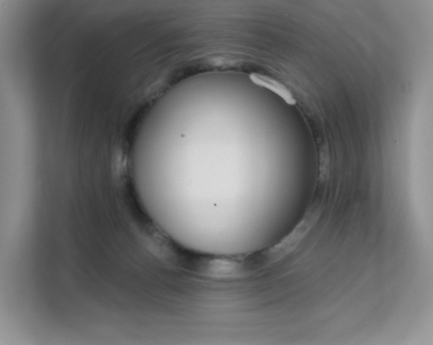 X0000111590176200907301434