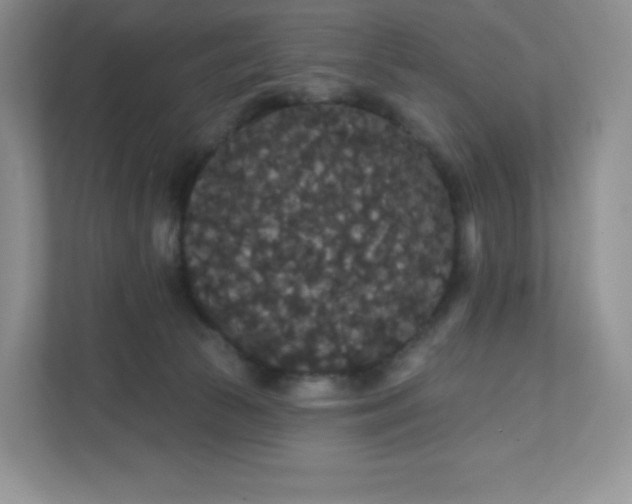 X0000111590177200907301434